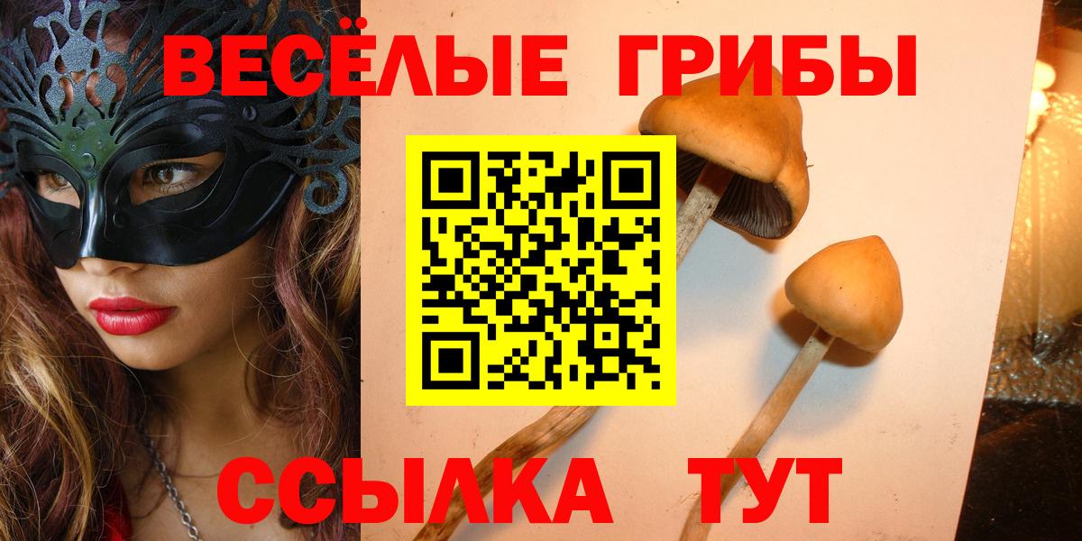 Псилоцибиновые грибы мицелий  Вход с VPN  Ликино-Дулёво 