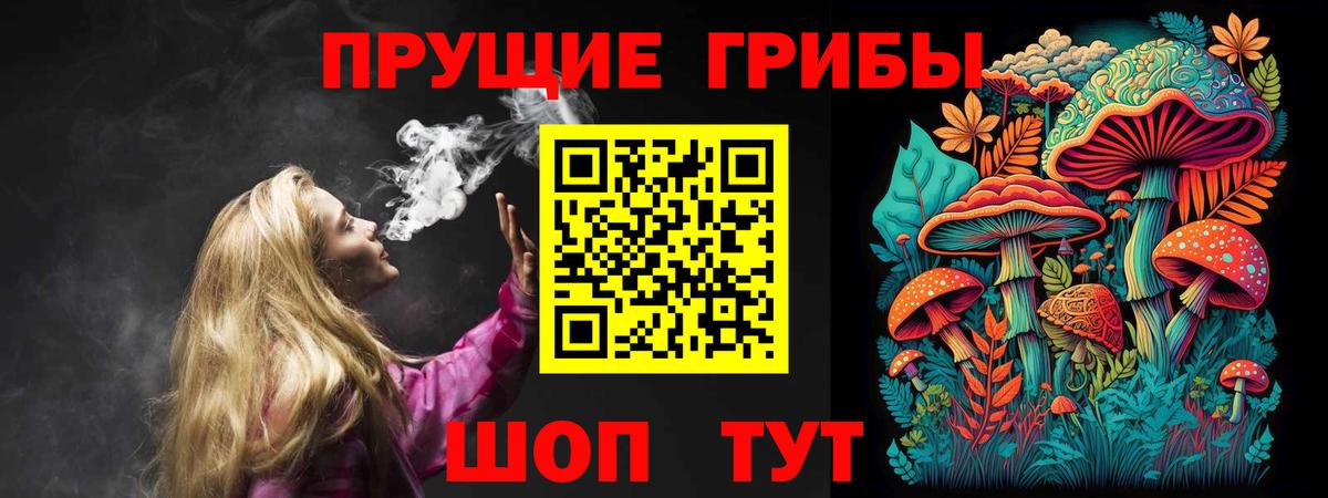 Псилоцибиновые грибы прущие грибы Ликино-Дулёво
